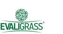 evaligrass