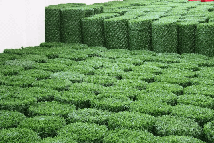 Grass privacy fence